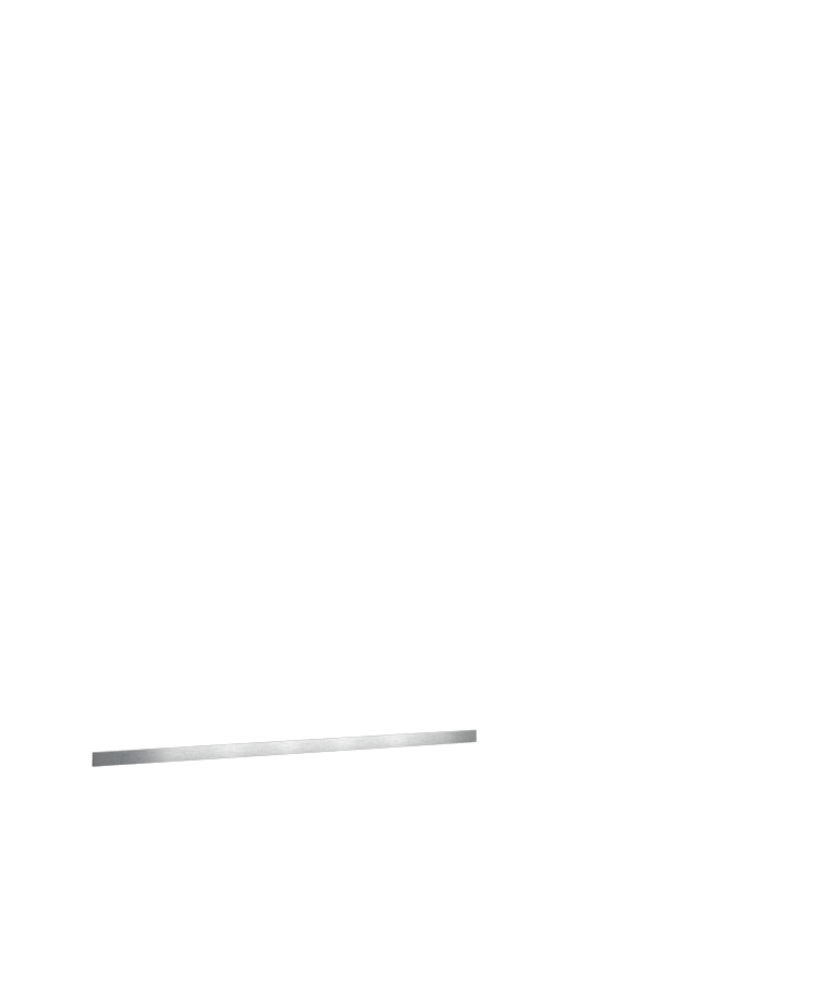 2 inch Bumper Rail Option